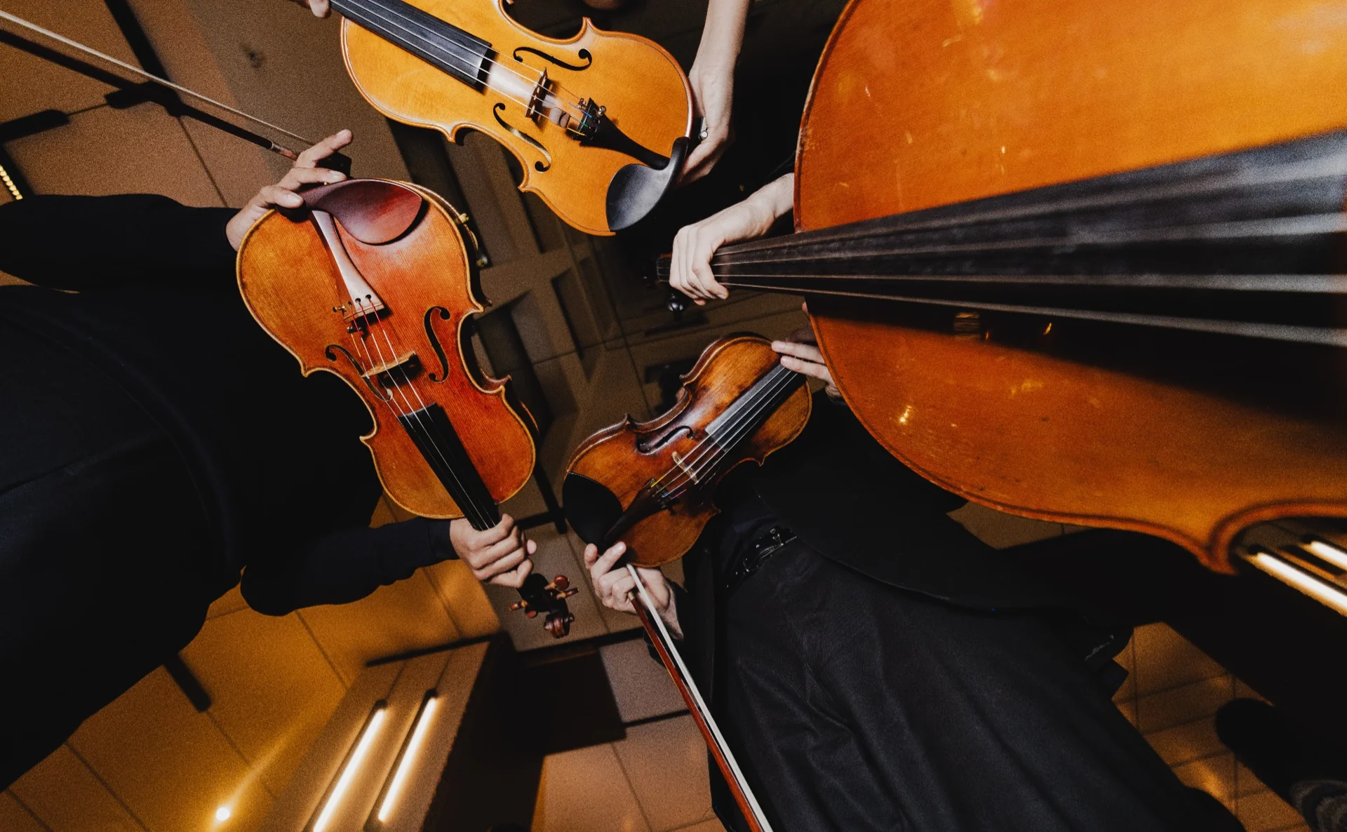 Detalle de los instrumentos