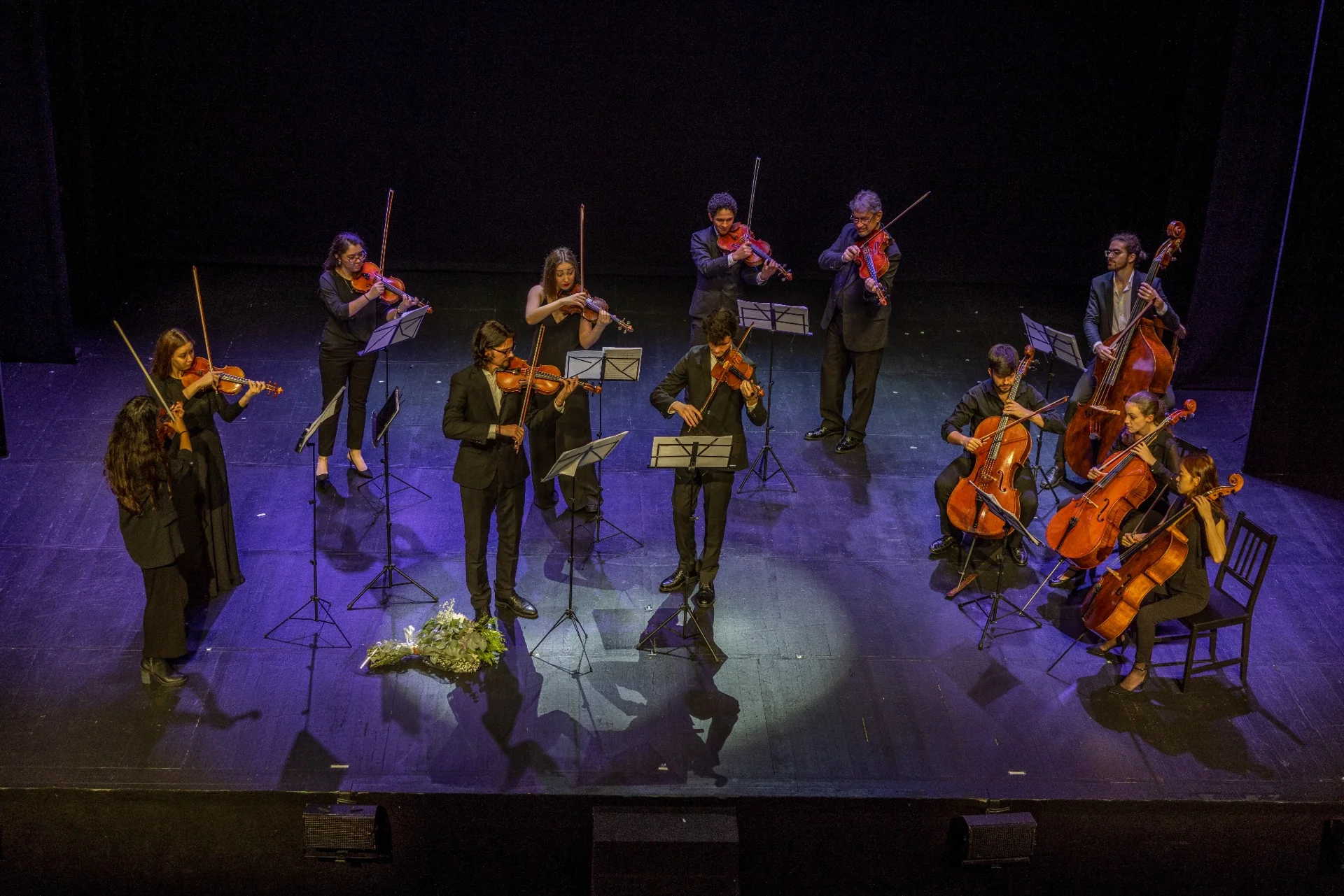 Ensemble de cuerda en escena · Fotografía: Ana Palacios